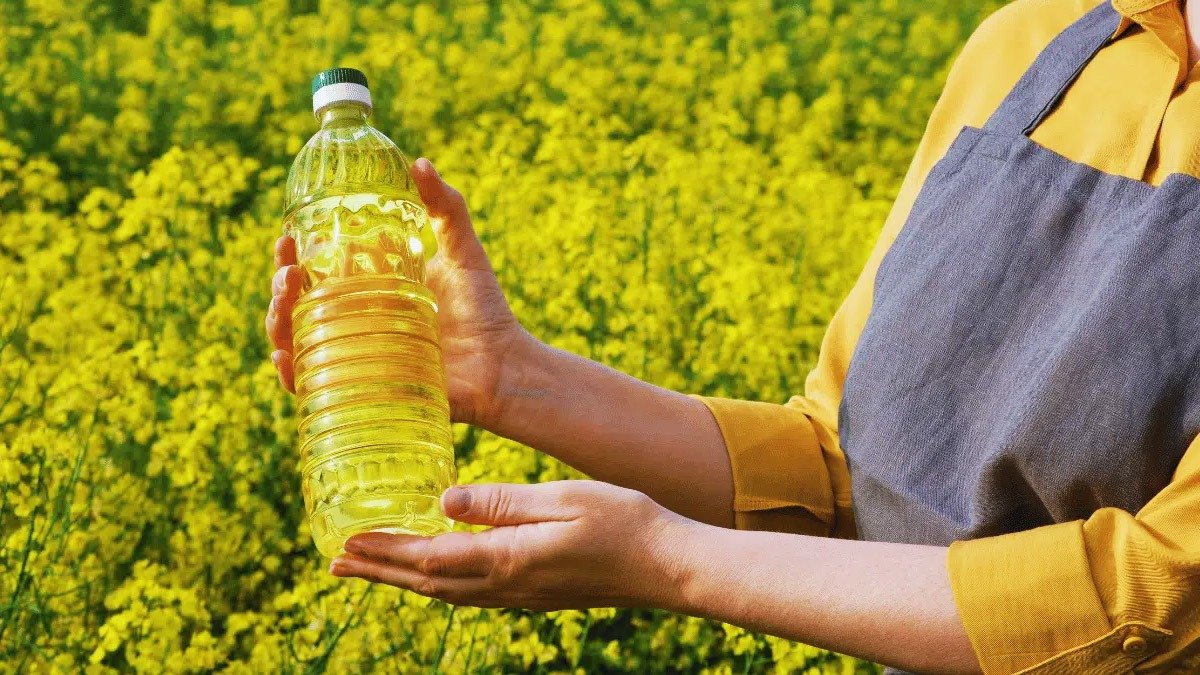 Studie spojuje oblíbený americký kuchyňský olej s obezitou