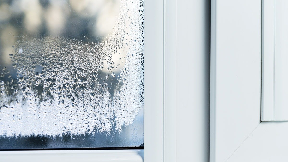 Položte to na parapet — a skla budou do hodiny suchá. Funguje celou zimu