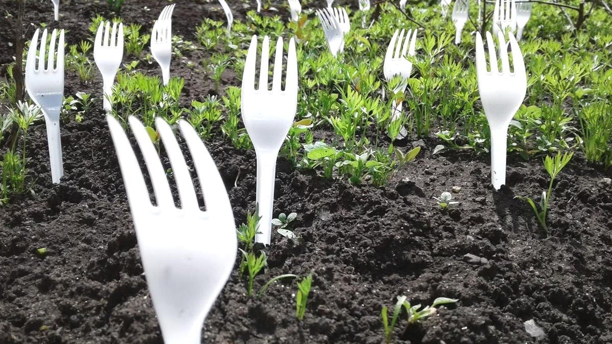 Proč zapichovat plastové vidličky na zahradě a proč to odborníci doporučují