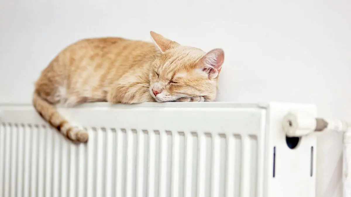 Jak odvzdušnit radiátory a proč je to důležité?