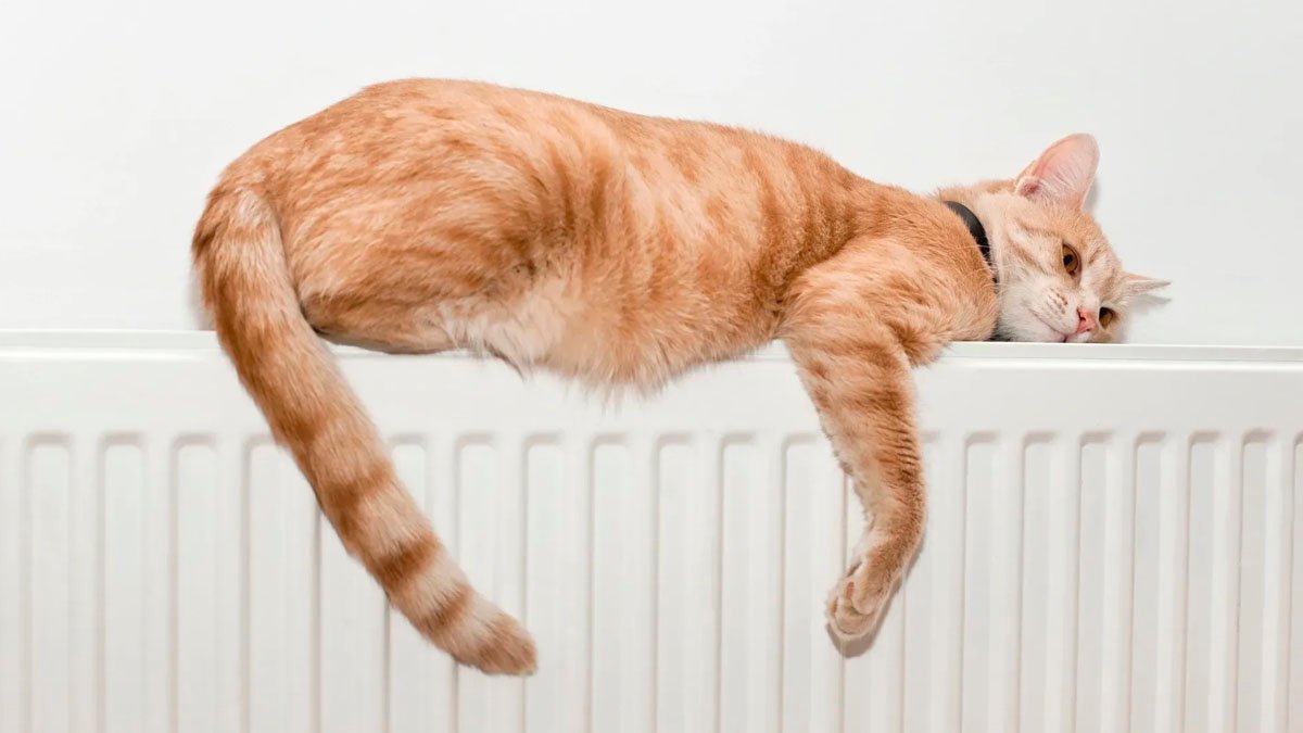 Radiátor netopí: 5 minutový trik vyřeší problém