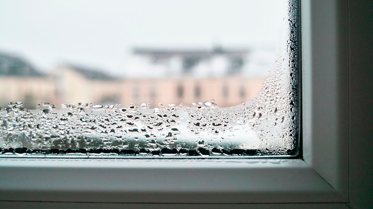 Sušidlo ani chemie nepotřebujete. Tento černý prášek opravdu funguje