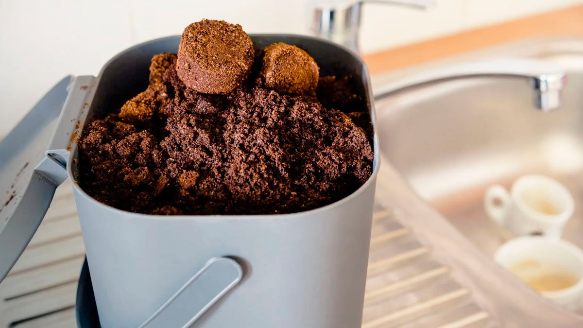 Abych se vyhnul zápachu z odpadkového koše, dal jsem tam jednu věc z kuchyně: kuchyně je svěží jako zimní les