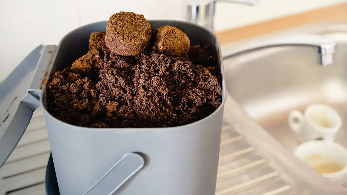 Abych se vyhnul zápachu z odpadkového koše, dal jsem tam jednu věc z kuchyně: kuchyně je svěží jako zimní les