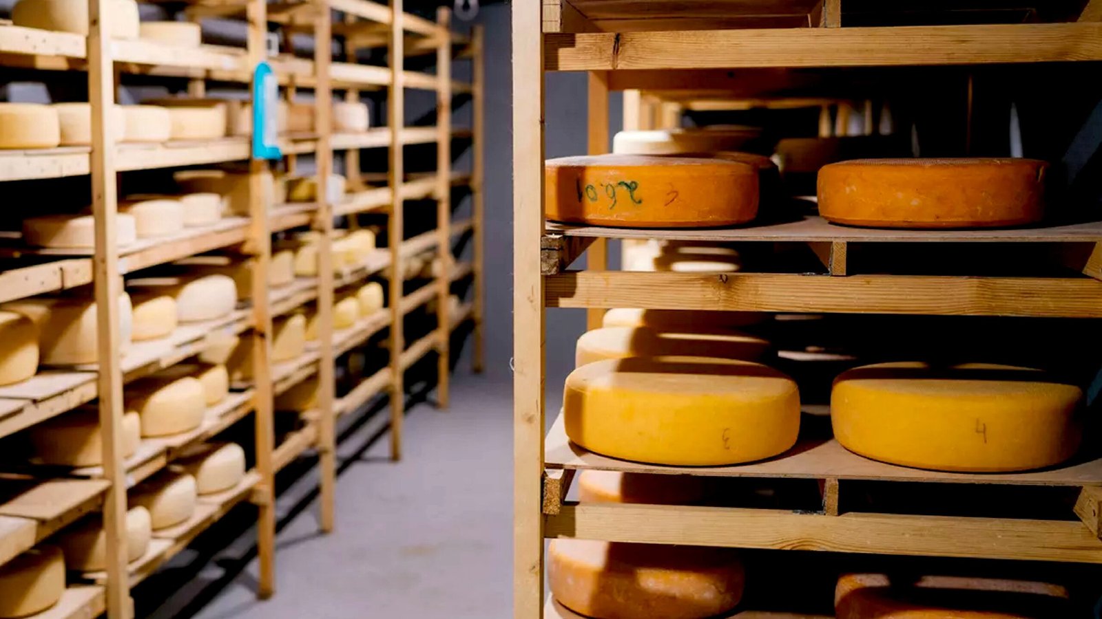 Nizozemec, který vyměnil Evropu za Kolumbii a nakonec vytvořil jeden z nejlepších sýrů na světě