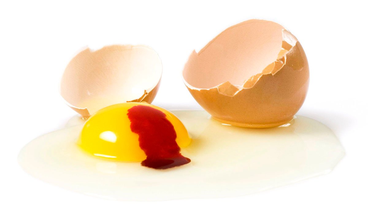 Ejce s krví ve žloutku: příčina a řešení