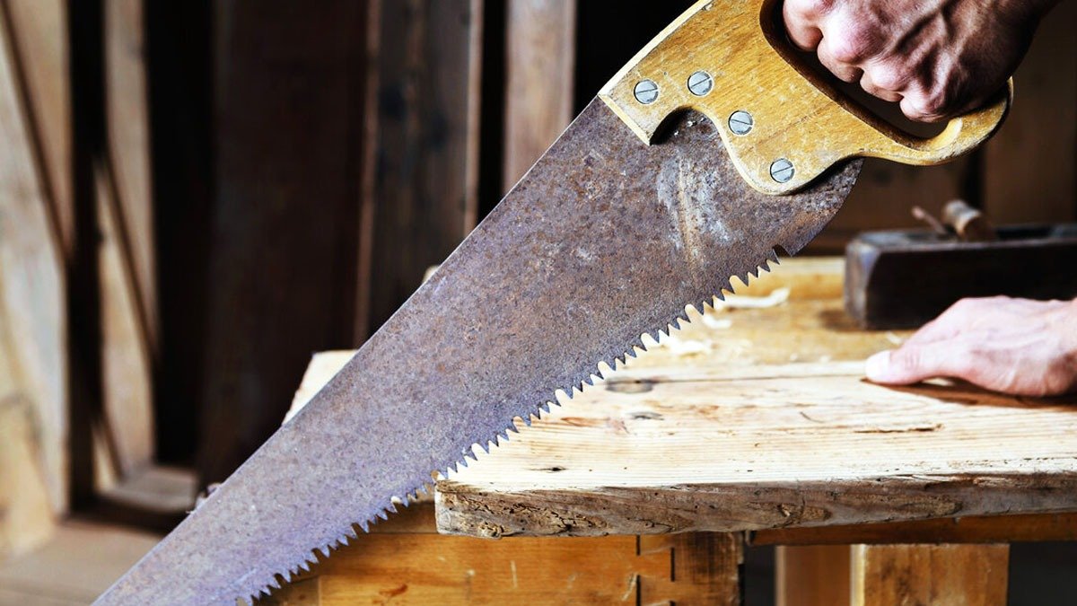 Pilka bude řezat dřevo jako máslo: způsob broušení bez návštěvy mistra