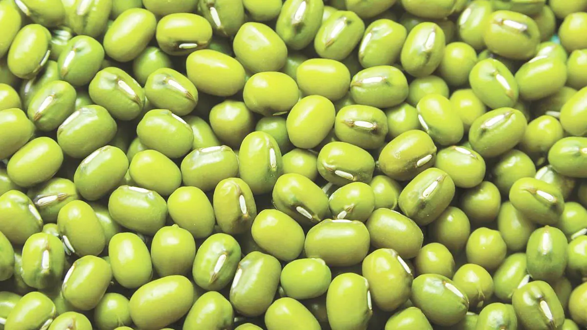 Rady pro rychlé vaření mungo fazolí, aby byly měkké bez nutnosti dlouhého namáčení