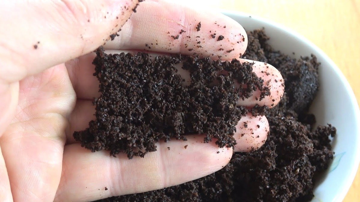 Nejlepší přírodní hnojivo pro kapradiny, hortenzie a pokojové rostliny – vyhazujete ho každý den do koše 2 Nejlepší přírodní hnojivo pro kapradiny, hortenzie a pokojové rostliny – vyhazujete ho každý den do koše