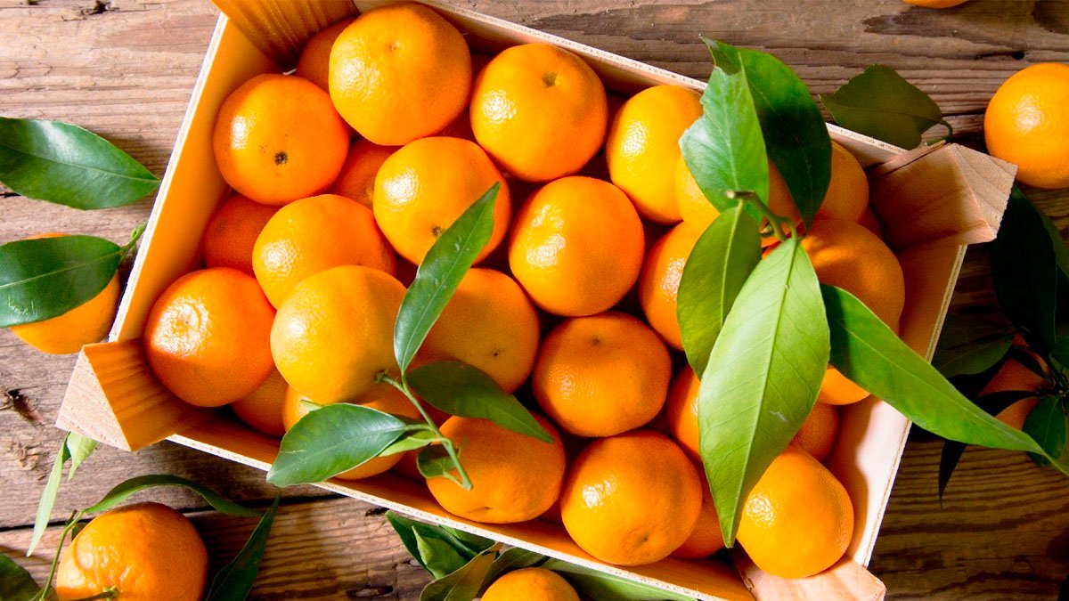 Chytrí prodejci vybírají mandarinky pro sebe doma pouze takto: zapamatujte si 3 triky