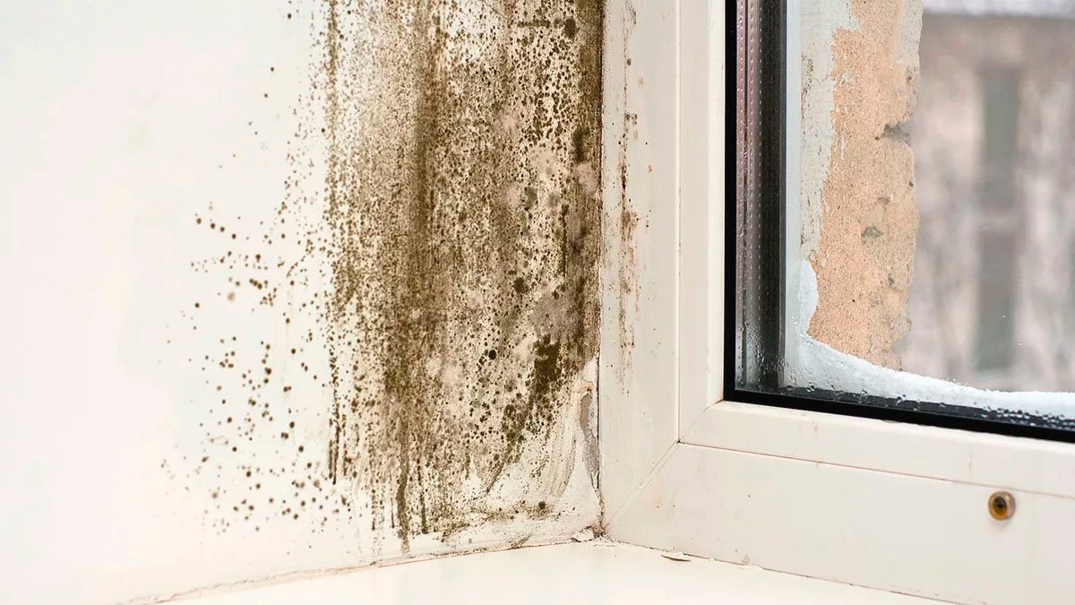 Otevírání oken v zimě: zvyk, který nepozorovaně přispívá ke kondenzaci