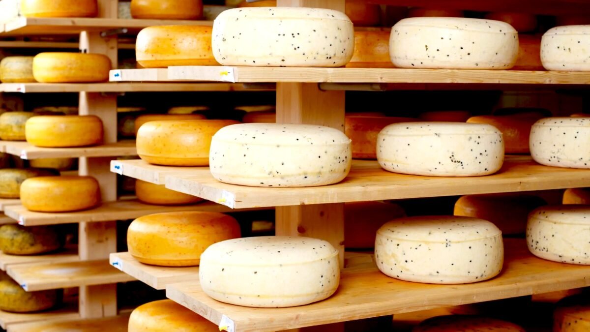 Nizozemec, který vyměnil Evropu za Kolumbii a nakonec vytvořil jeden z nejlepších sýrů na světě