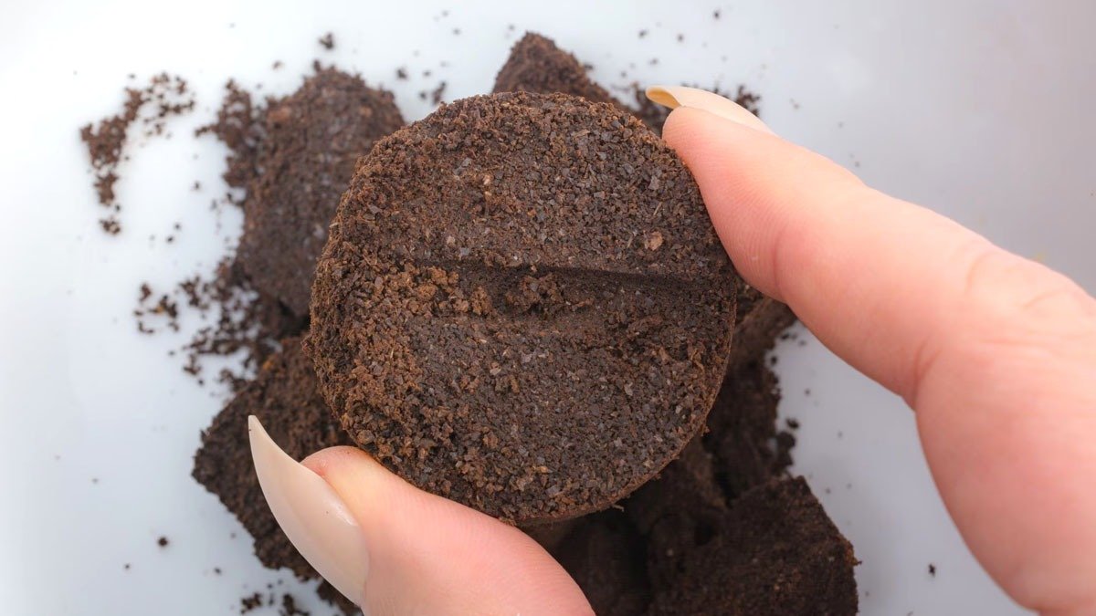 Nejlepší přírodní hnojivo pro kapradiny, hortenzie a pokojové rostliny – vyhazujete ho každý den do koše 3 Nejlepší přírodní hnojivo pro kapradiny, hortenzie a pokojové rostliny – vyhazujete ho každý den do koše