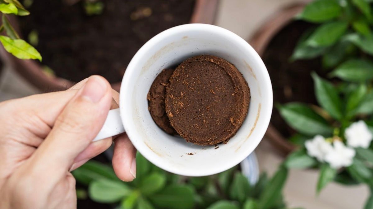 Stačí jedna lžíce Proto se v Česku doporučuje nasypat kávovou sedlinu do toalety