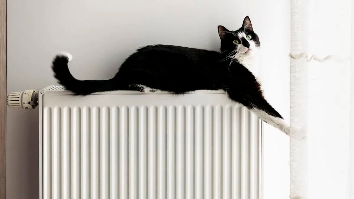 Porovnali 13 topidel – a zde je absolutní vítěz