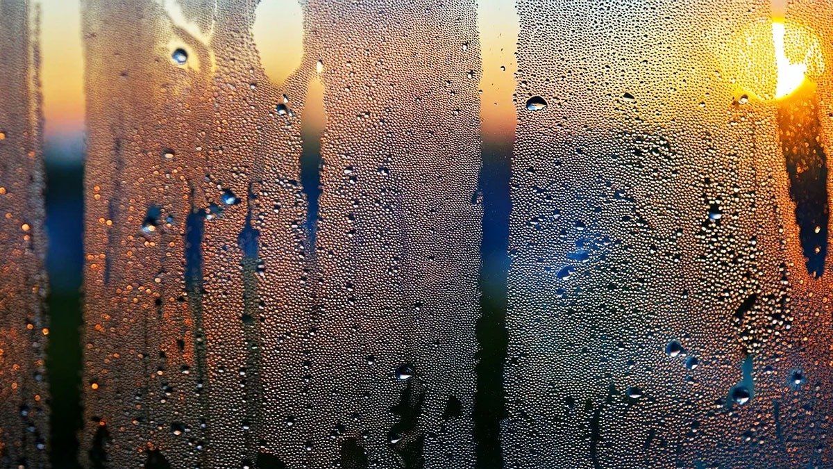 Sbohem, orosená okna! Nezbytná kuchyňská surovina za 20 Kč, která pomáhá předcházet kondenzaci v bytě po celý měsíc