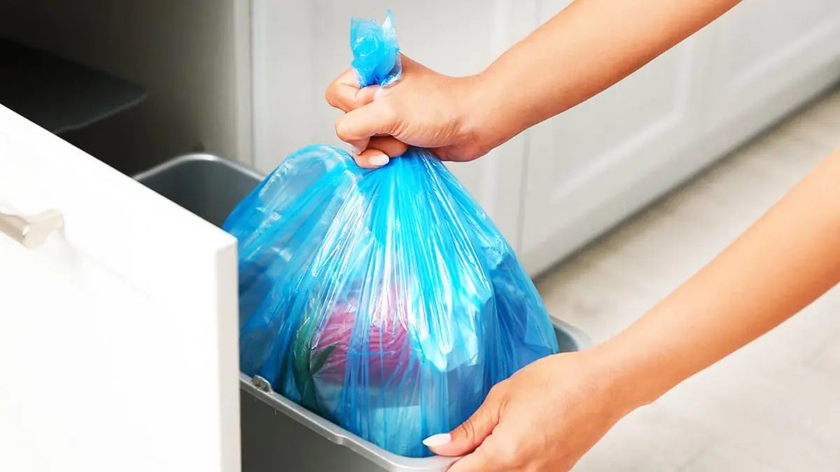 Proč vždy sypu sůl do odpadkového koše: rada od souseda, která zachránila před zápachem a neustálým úklidem