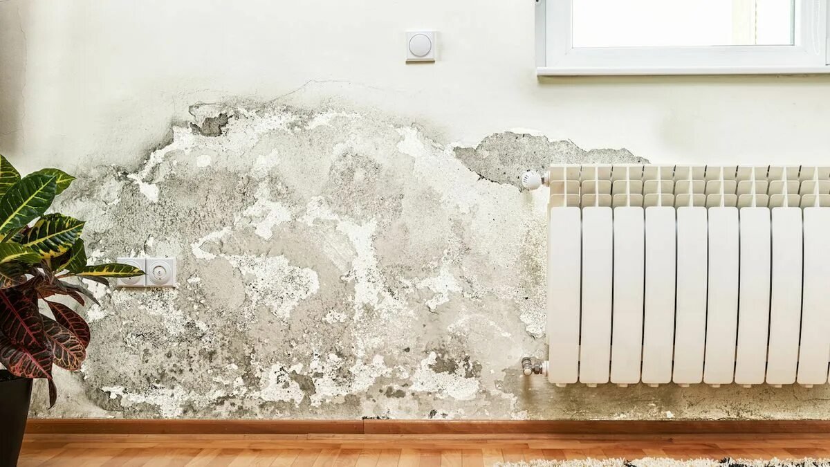 Architekt o vlhkosti v bytě: „Vždy doporučuji přilepit na zeď kousek hliníkové fólie“