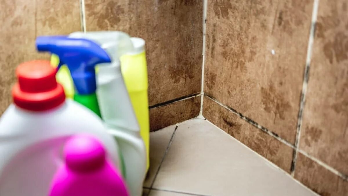 Bez chemie: přírodní trik, který odstraní plíseň ve sprše za 5 minut