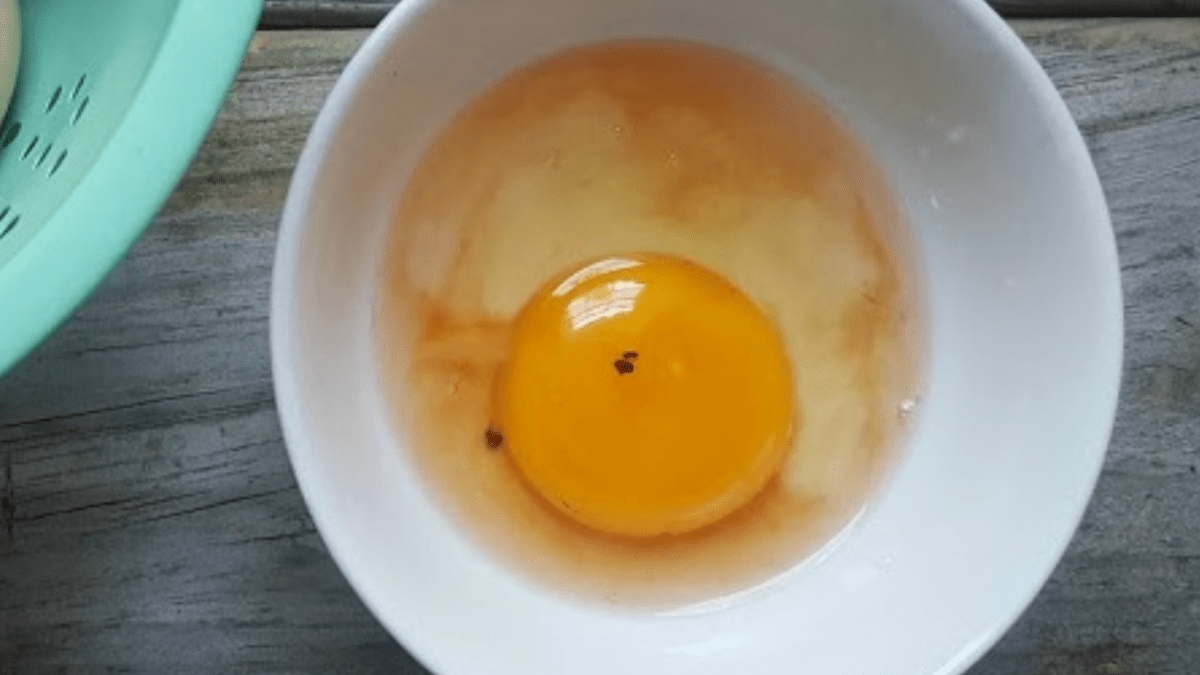 Červená skvrnka ve vejci. Málokdo ví, co znamená a zda je takové vejce bezpečné k jídlu