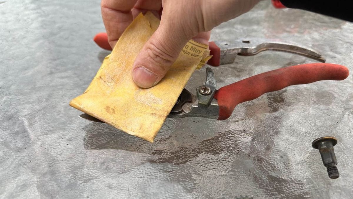 Sekátor bude ostrý jako břitva: rychlý způsob broušení bez speciálních nástrojů