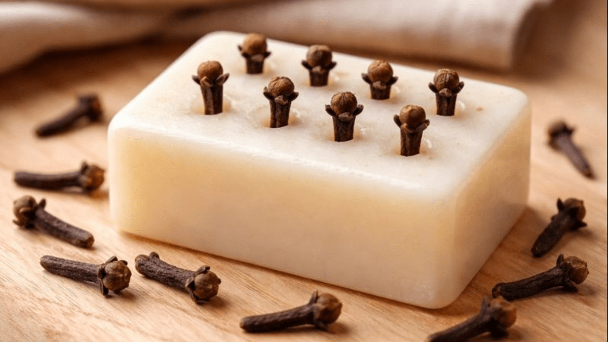 Do mýdla jsem zapíchla 20 sušených hřebíčků: sousedka si myslela, že jsem „se zbláznila“, ale ukázalo se, že „vím, co dělám“