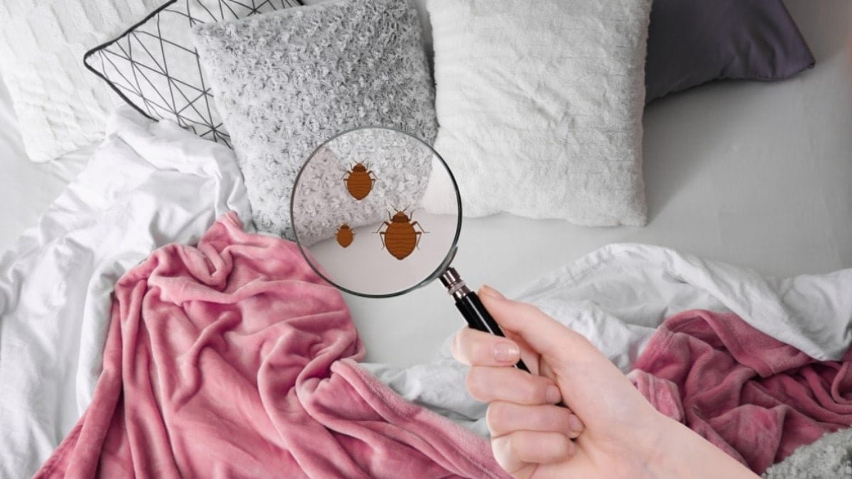 Expert: „Ložní prádlo by se nemělo měnit každé dva týdny ani jednou za měsíc“ – TADY je přesný interval výměny 4 Expert: „Ložní prádlo by se nemělo měnit každé dva týdny ani jednou za měsíc“ – TADY je přesný interval výměny