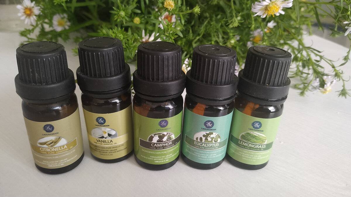 Hrst hřebíčku v mističce může účinně pomoci ochránit domov před komáry 4 Hrst hřebíčku v mističce může účinně pomoci ochránit domov před komáry