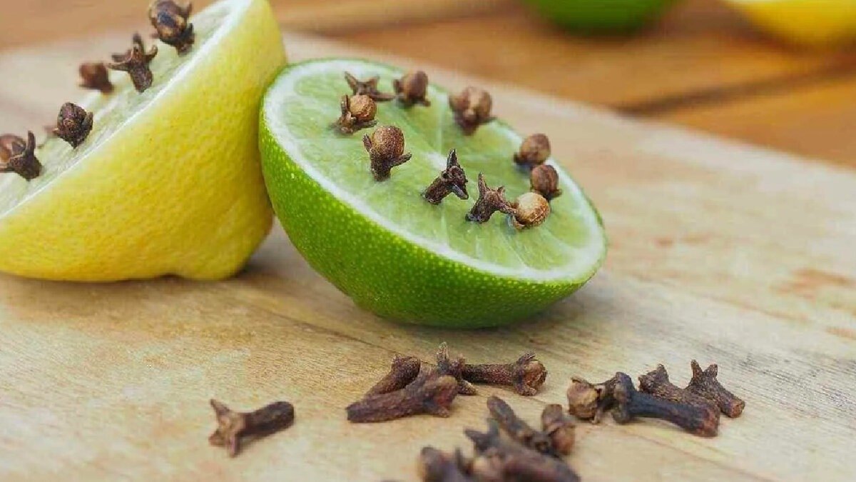 Hrst hřebíčku v mističce může účinně pomoci ochránit domov před komáry 7 Hrst hřebíčku v mističce může účinně pomoci ochránit domov před komáry