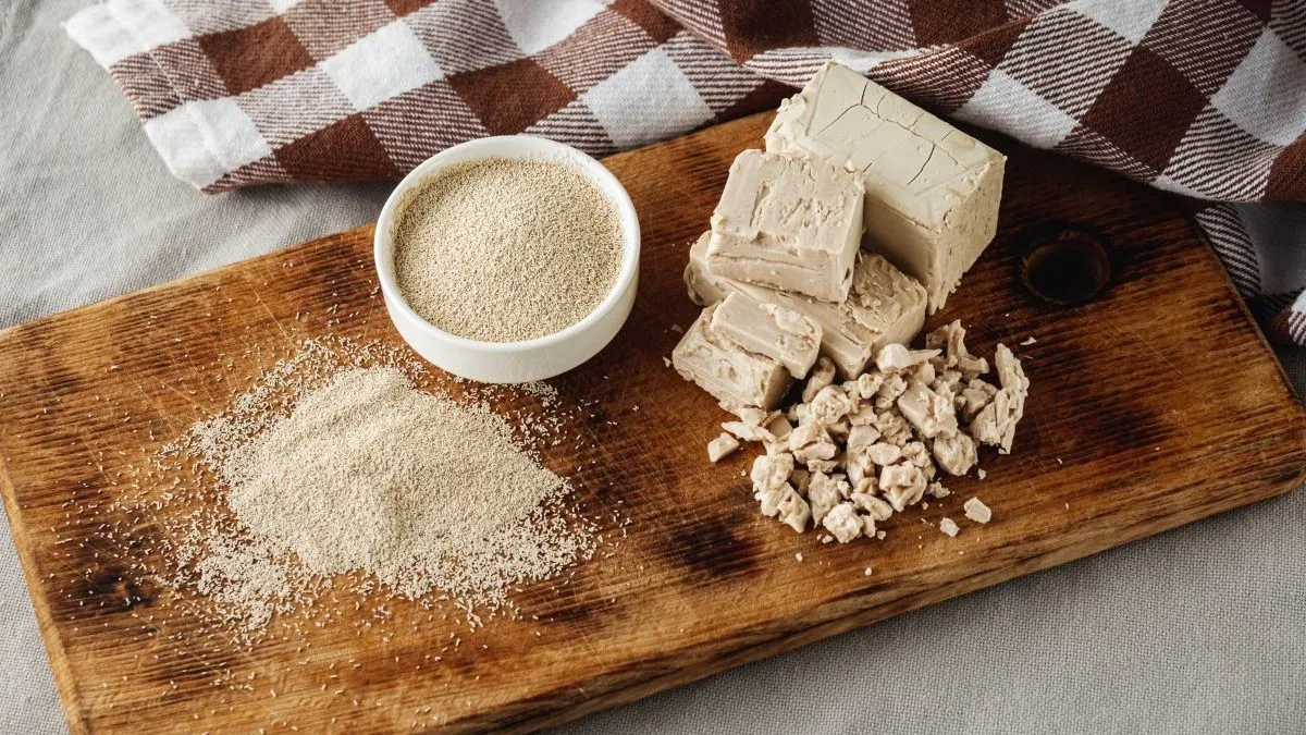 Slepice snášejí i v zimě proč jim dávat droždí a jak na to v českých podmínkách