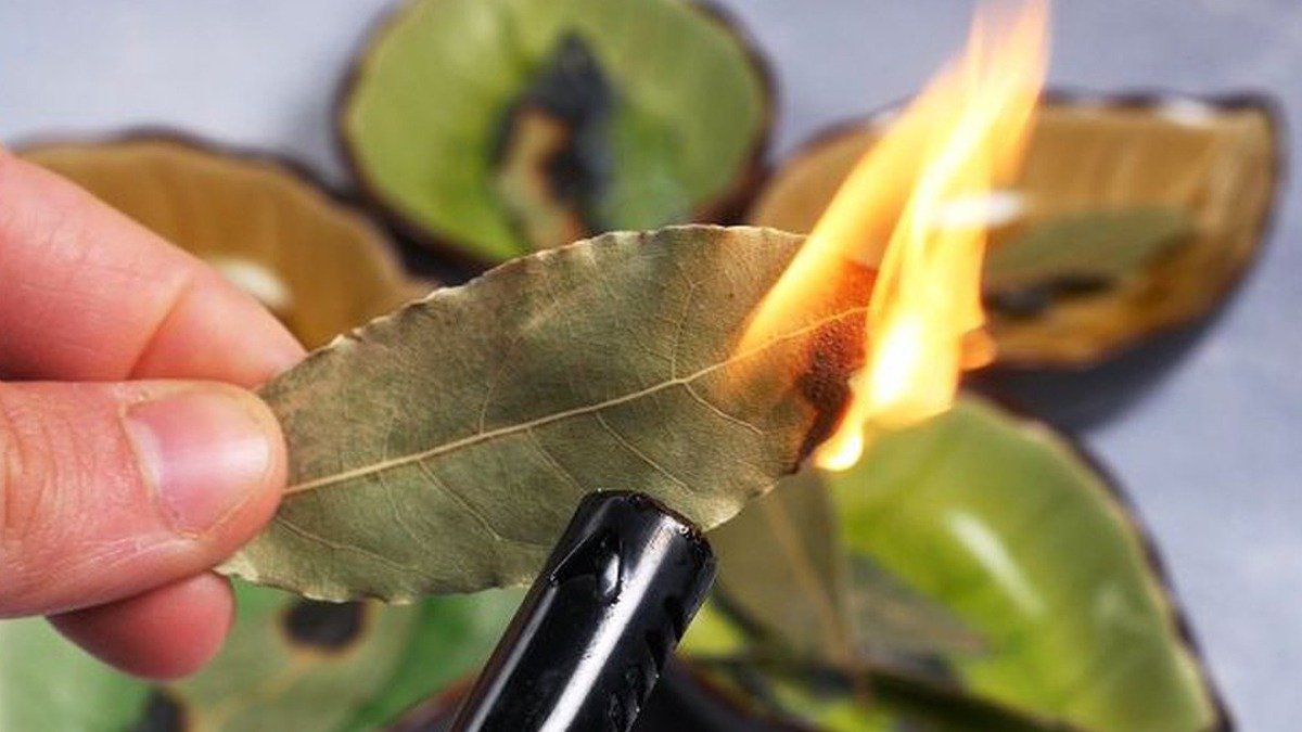 Smíchat bobkový list a jedlou sodu: k čemu to je a proč to doporučují