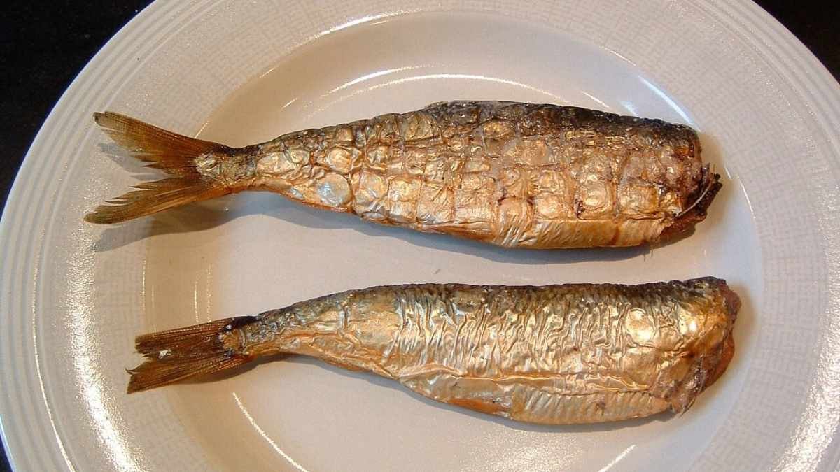 Němci jedí tuto rybu o svátcích. V Česku je málo známá, ale je lepší než kapr