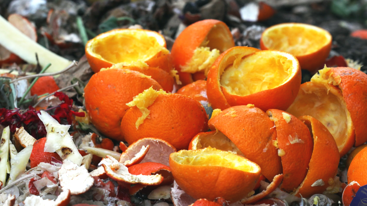 Pomerančová kůra na zahradě: jednoduchý trik proti nechtěným „hostům“