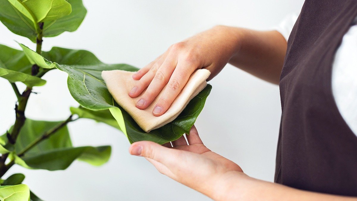 Je váš domov neustále plný prachu Zjistěte, jak se ho zbavit na dlouho