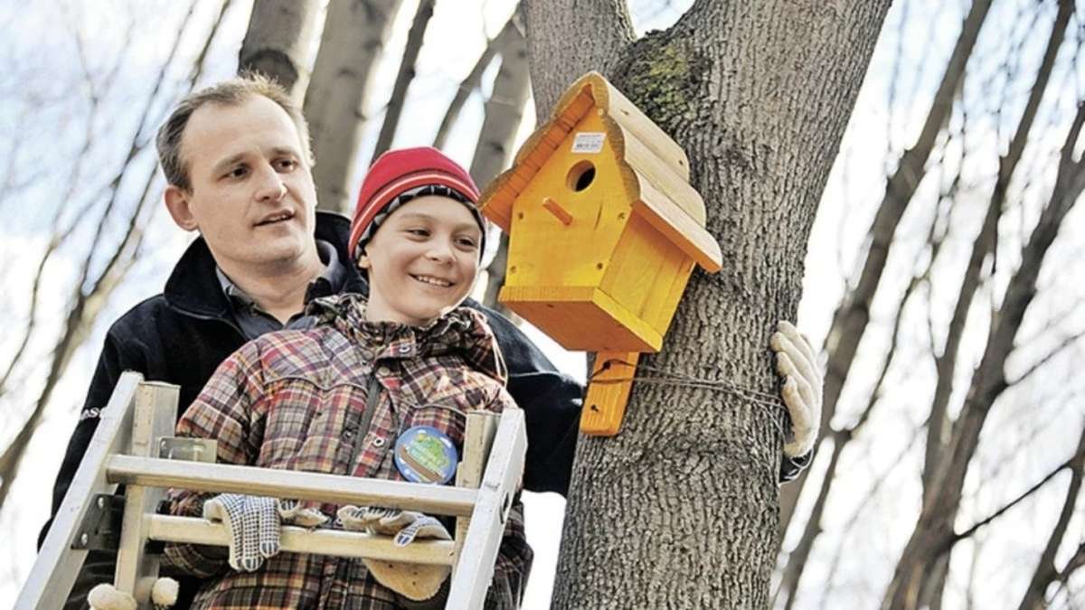 Čištění ptačí budky v prosinci často ruší ptáky a v českých zahradách je to obzvlášť aktuální 2 Čištění ptačí budky v prosinci často ruší ptáky a v českých zahradách je to obzvlášť aktuální