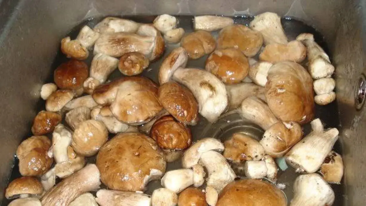 Sušené houby je potřeba vařit přesně tak dlouho, jak si žádá česká kuchyně