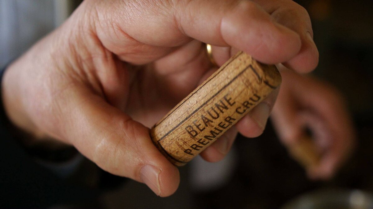 Korek v lednici jednoduchý trik, který může dělat divy