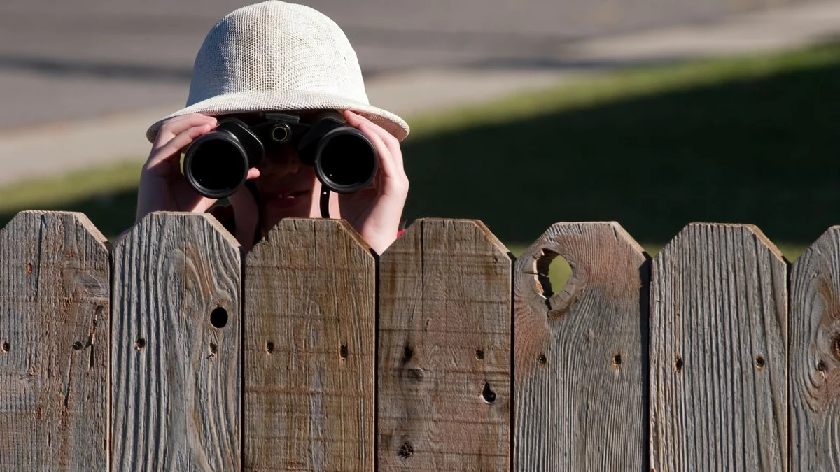 Která strana plotu je moje Vyvracíme rozšířené mýt