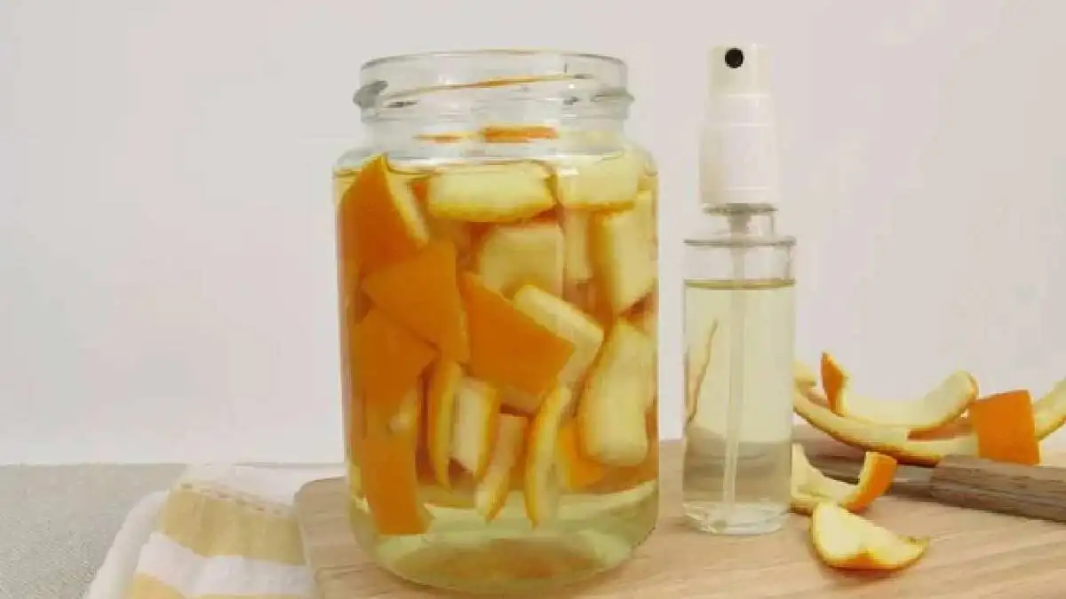 Mandarinkové slupky zalévám octem — a celou zimu si nemůžu vynachválit svůj trik: skvělý hack pro hospodyňky