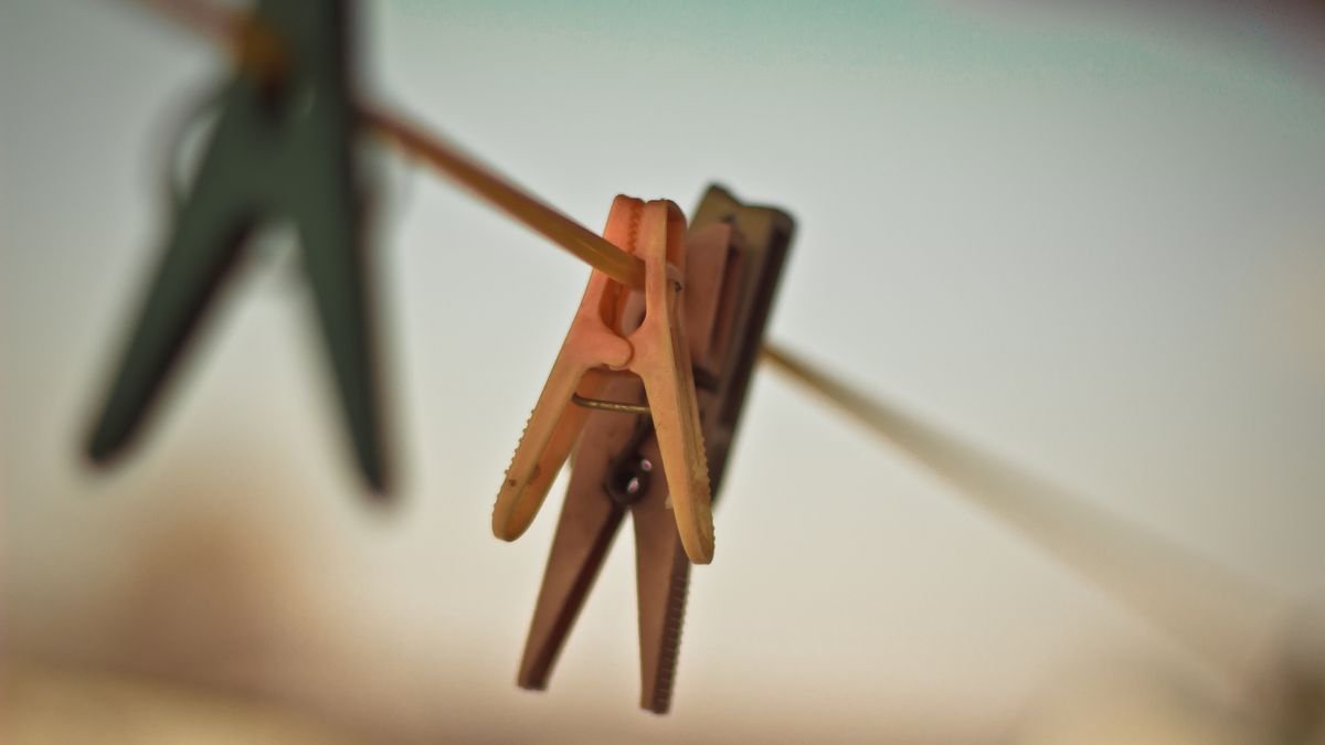 Staří zahrádkáři na něj mysleli před každou zimou: malý kolíček na prádlo, který všechno změní, když udeří mráz