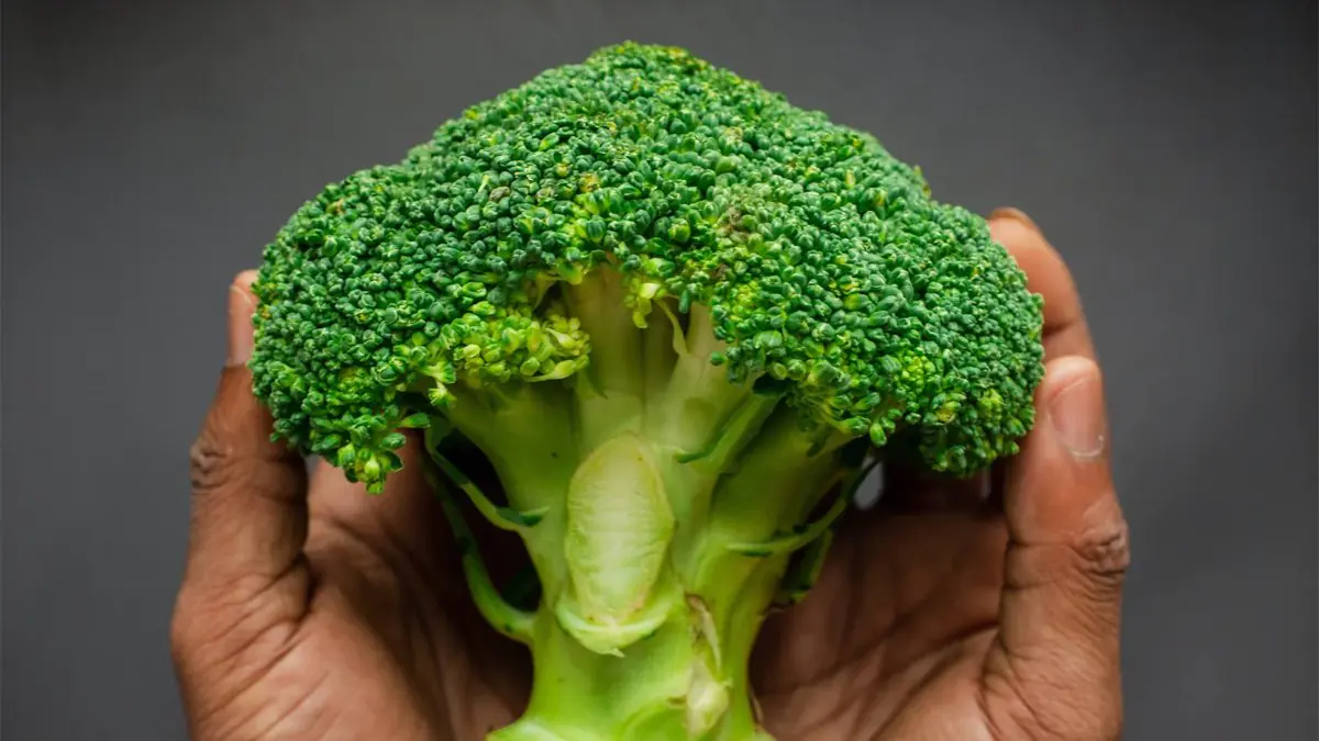 Ne vařený, ne syrový: nejlepší způsob přípravy brokolice, aby si zachovala maximum antioxidantů