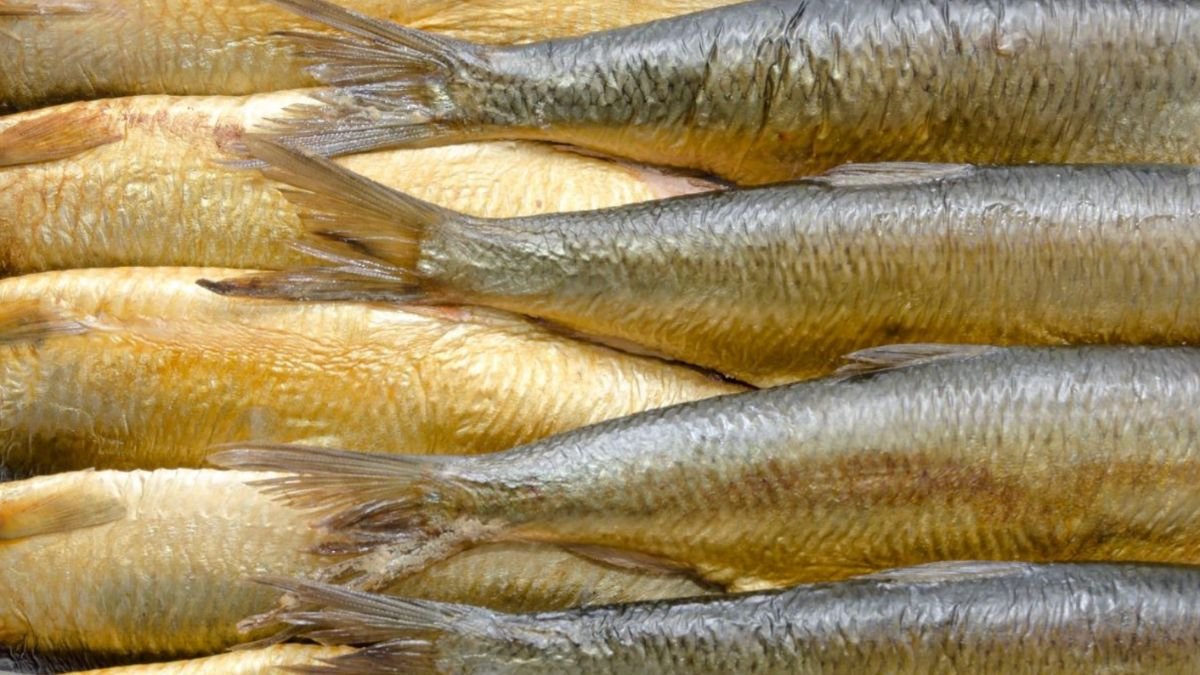 Němci jedí tuto rybu o svátcích. V Česku je málo známá, ale je lepší než kapr