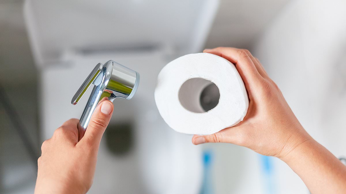 Opasná hygienická chyba na toaletě – miliony lidí ji dělají každý den