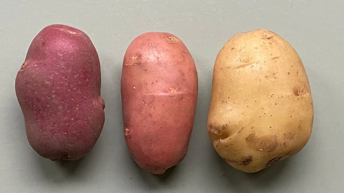 Zapečené brambory jsou křupavé a ne měkké jednoduchý trik od kuchaře