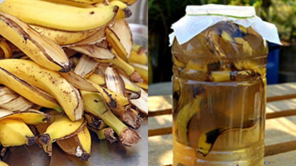 Odvar z banánové slupky se skořicí: zlaté užitečné účinky, které stojí za vyzkoušení