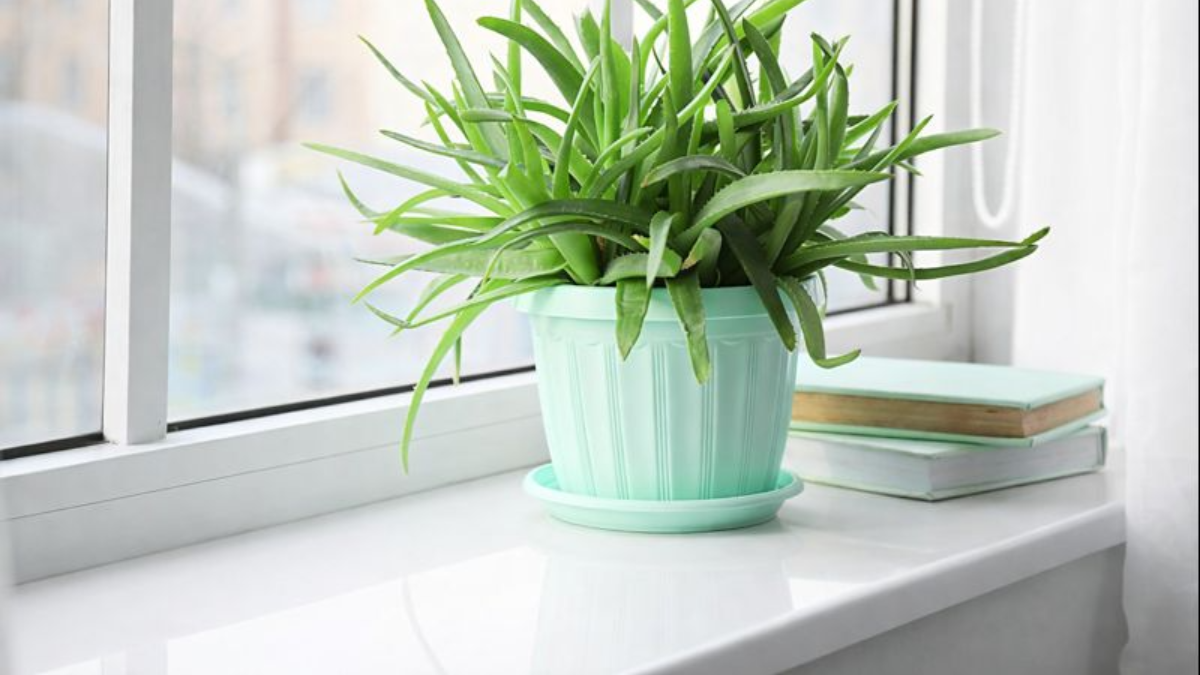 Plastový parapet bude jako nový bez výměny: jak odstranit hluboké škrábance 13 Plastový parapet bude jako nový bez výměny: jak odstranit hluboké škrábance