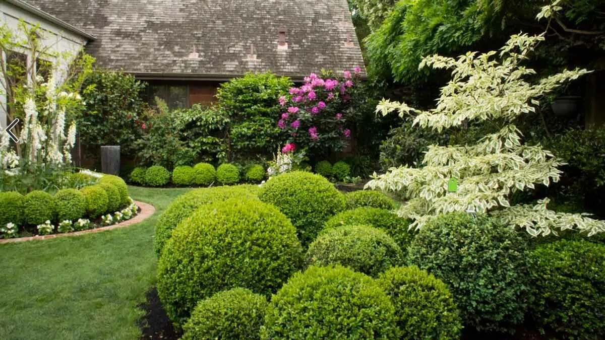 Nesázejte u domu jen tyto 2 rostliny Jinak roste riziko „návštěv hadů“