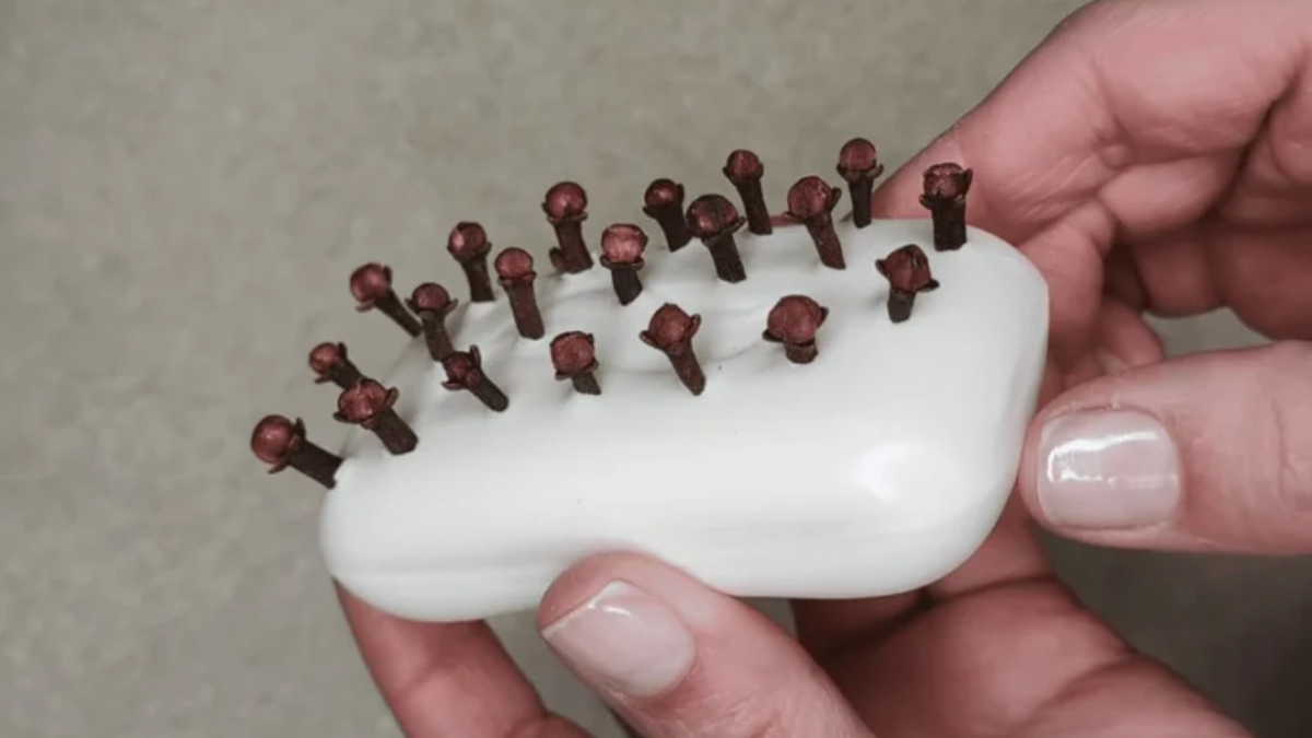 Do mýdla jsem zapíchla 20 sušených hřebíčků: sousedka si myslela, že jsem „se zbláznila“, ale ukázalo se, že „vím, co dělám“