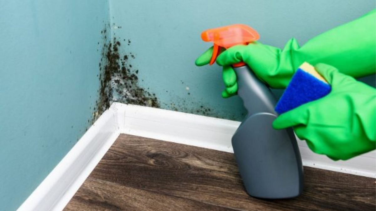 Proč se za nábytkem objevuje vlhkost a plíseň? Málokdo bere v úvahu jednu důležitou příčinu