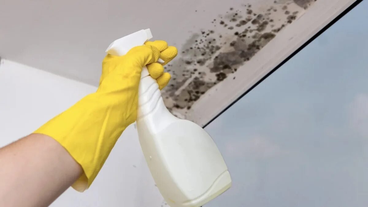 Proč se za nábytkem objevuje vlhkost a plíseň? Málokdo bere v úvahu jednu důležitou příčinu